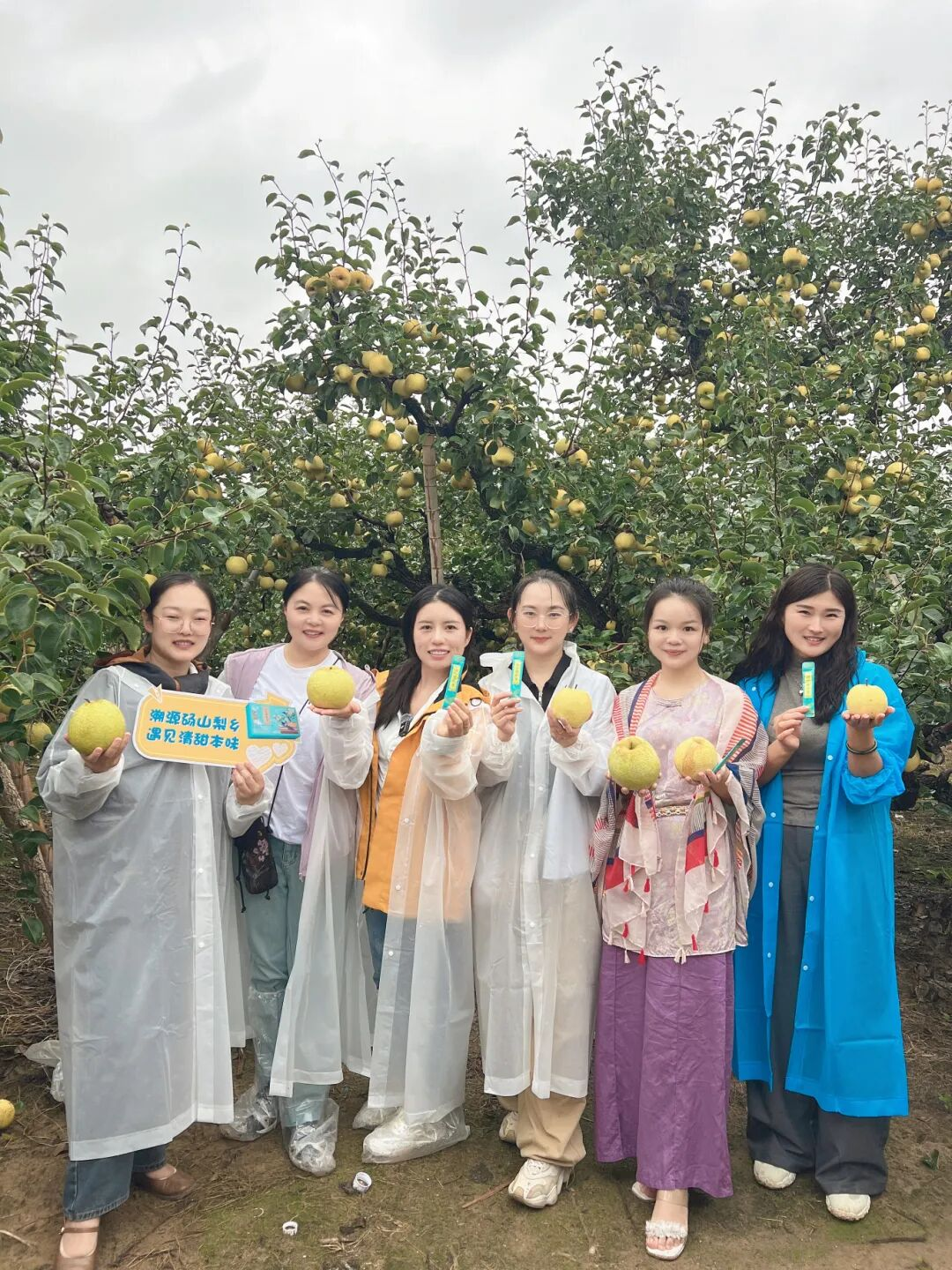 图片6.png